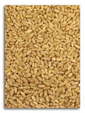 Organic Hard White Wheat 25 lbs. X393304