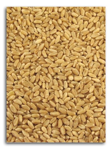 Organic Hard White Wheat 25 lbs. X393304