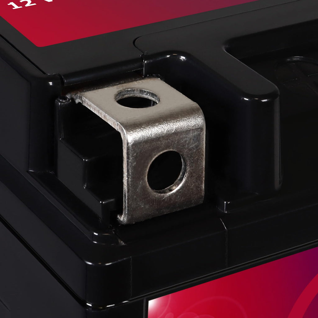 12v 11.2Ah 230CCA Battery V94227