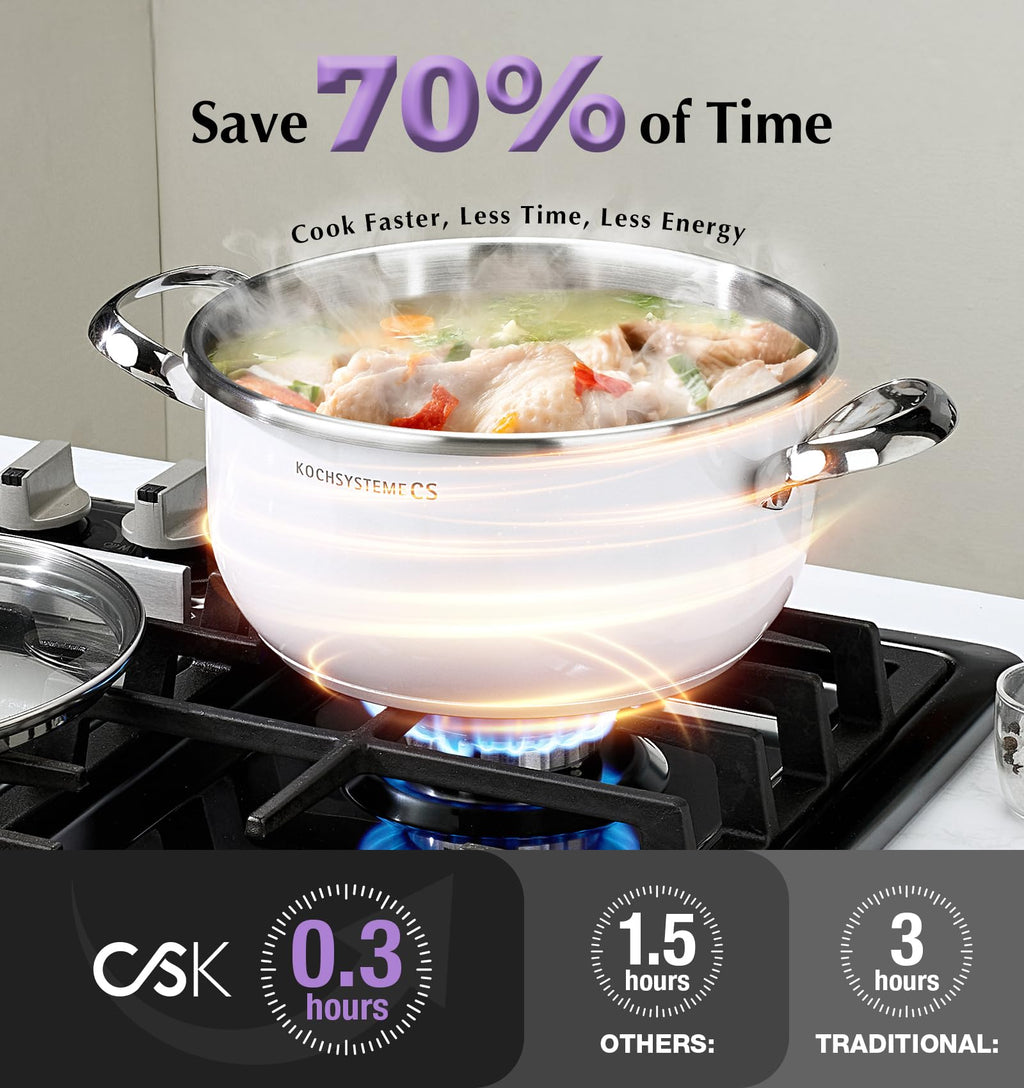 Small Stainless Steel Pressure Cooker 3.2 Quart R133456