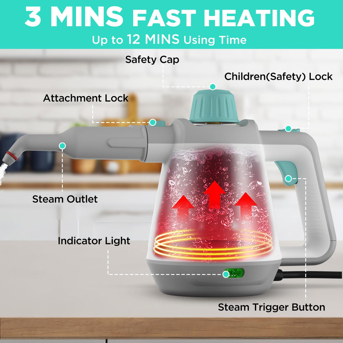 Handheld Steam Cleaner O794