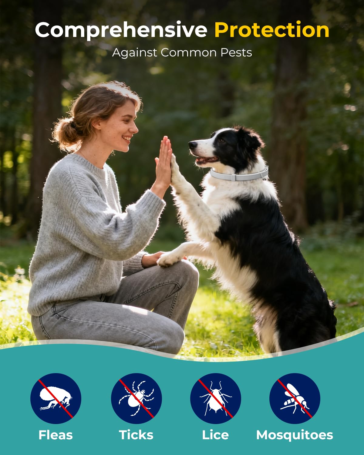 4 Pack Flea and Tick Collar for Small Dogs Under 18 lbs Y70705