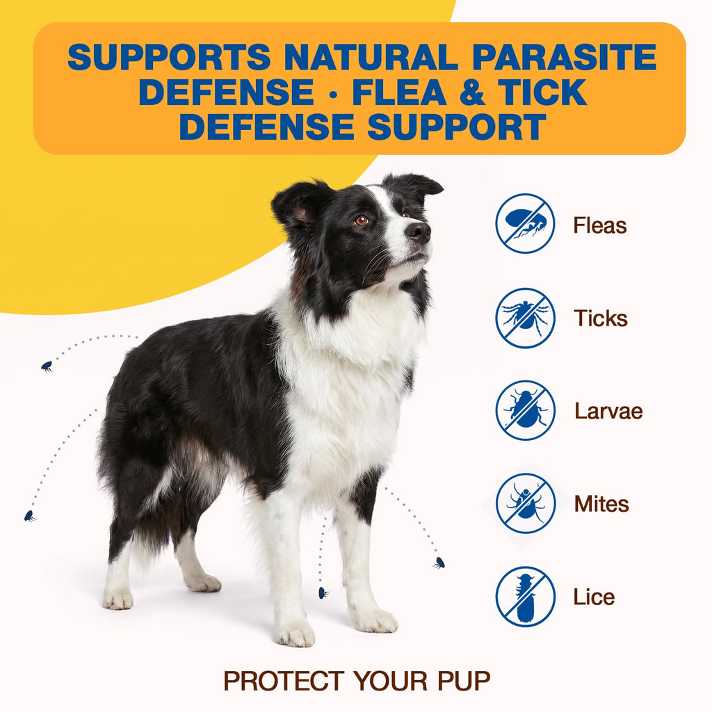 Natural Flea and Tick Chewables for Dogs, 180 Soft Chews E1428