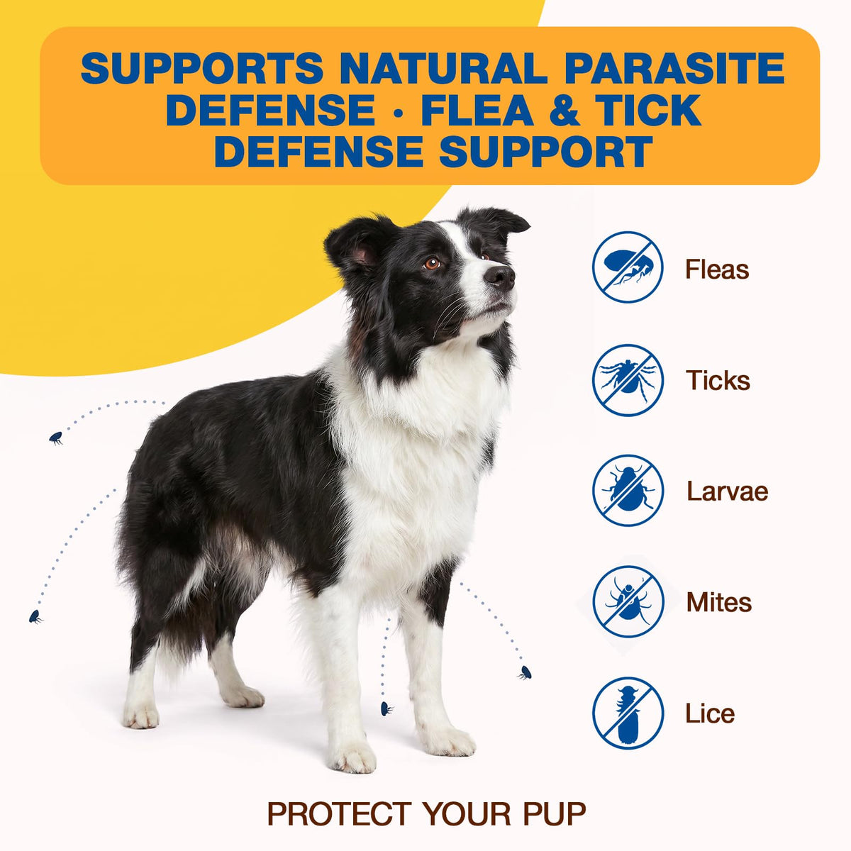 Natural Flea and Tick Chewables for Dogs, 180 Soft Chews E1428