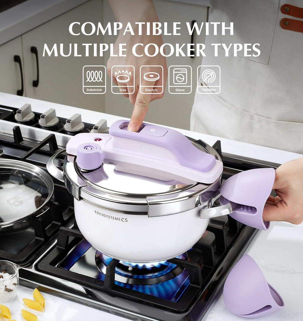 Small Stainless Steel Pressure Cooker 3.2 Quart R133456