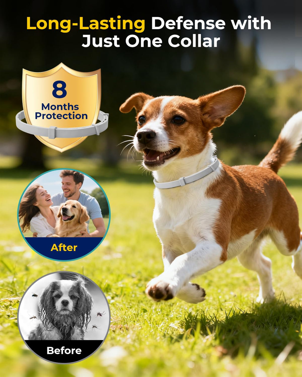 4 Pack Flea and Tick Collar for Small Dogs Under 18 lbs Y70705