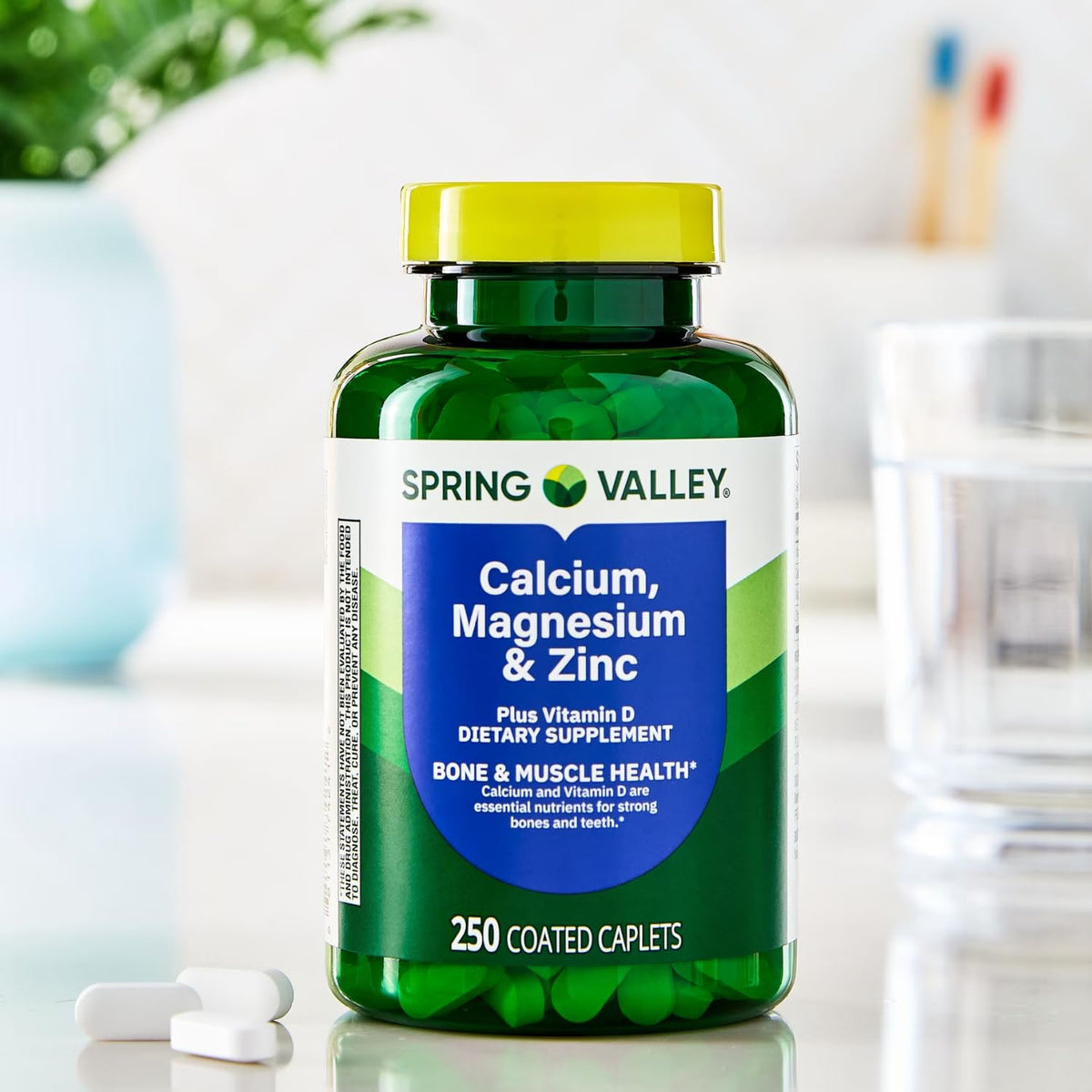Calcium Magnesium Zinc Plus Vitamin D3 Caplets 250 Ct V840708