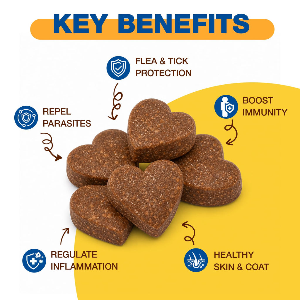 Natural Flea and Tick Chewables for Dogs, 180 Soft Chews E1428