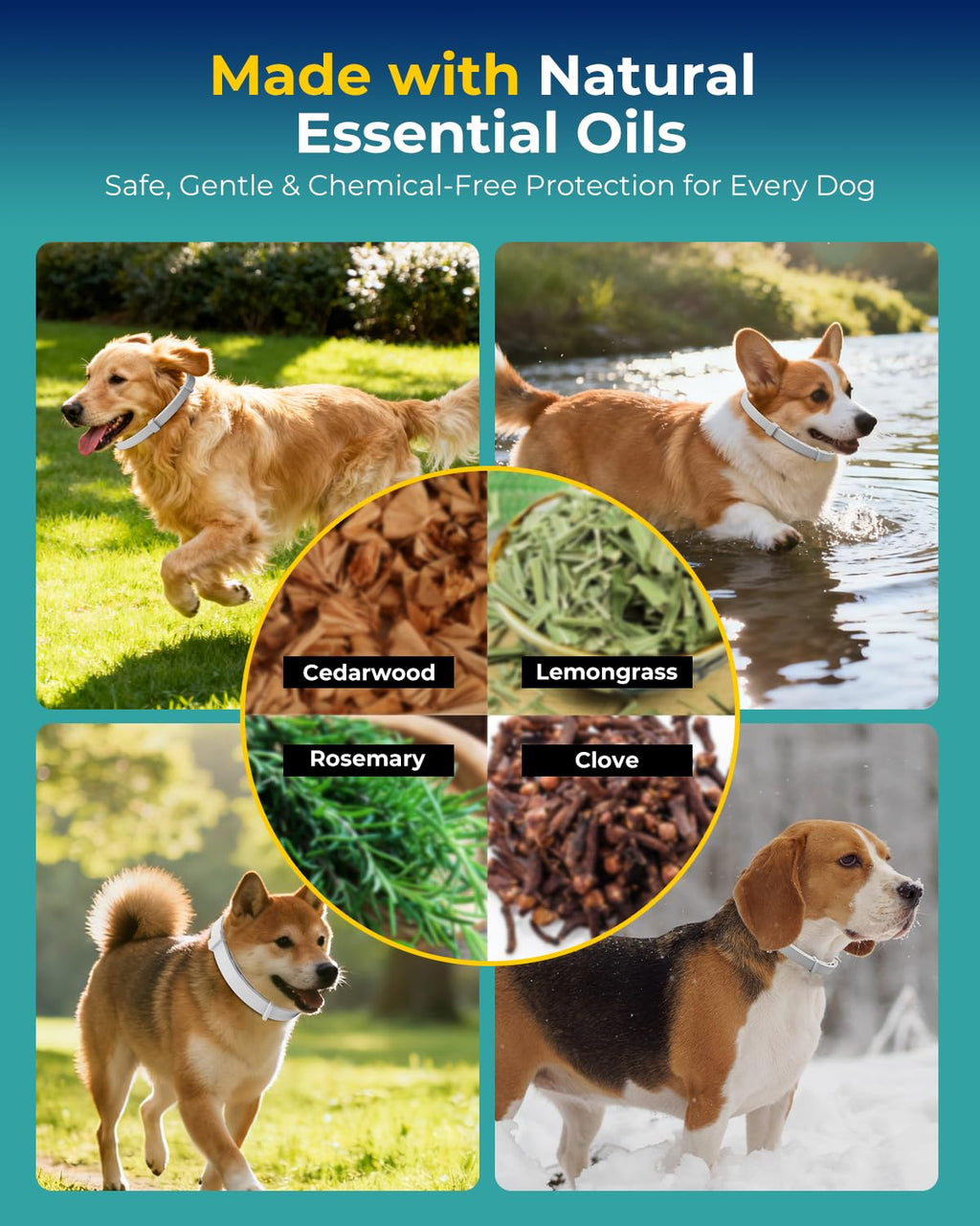 4 Pack Flea and Tick Collar for Small Dogs Under 18 lbs Y70705