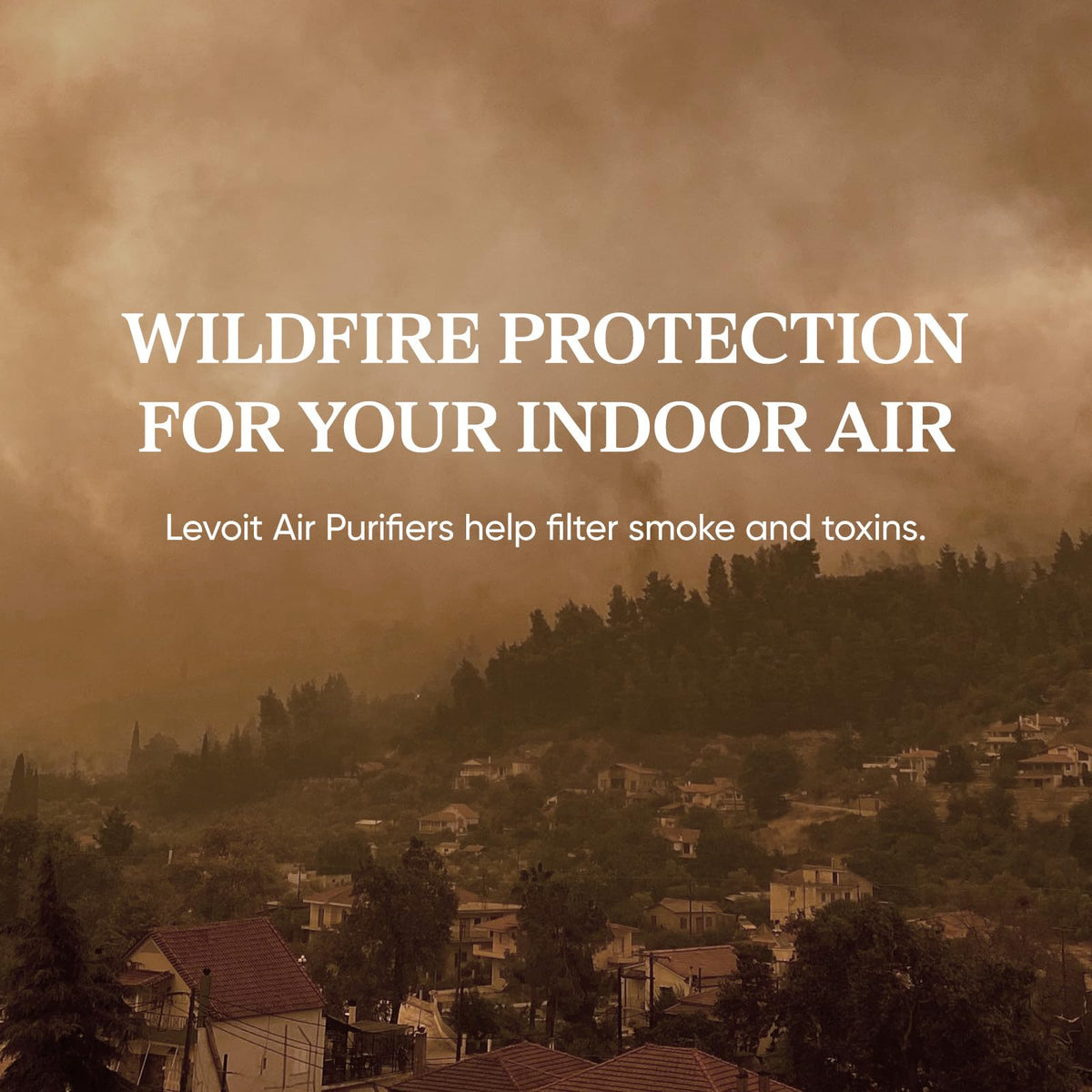 Air Purifier P523349