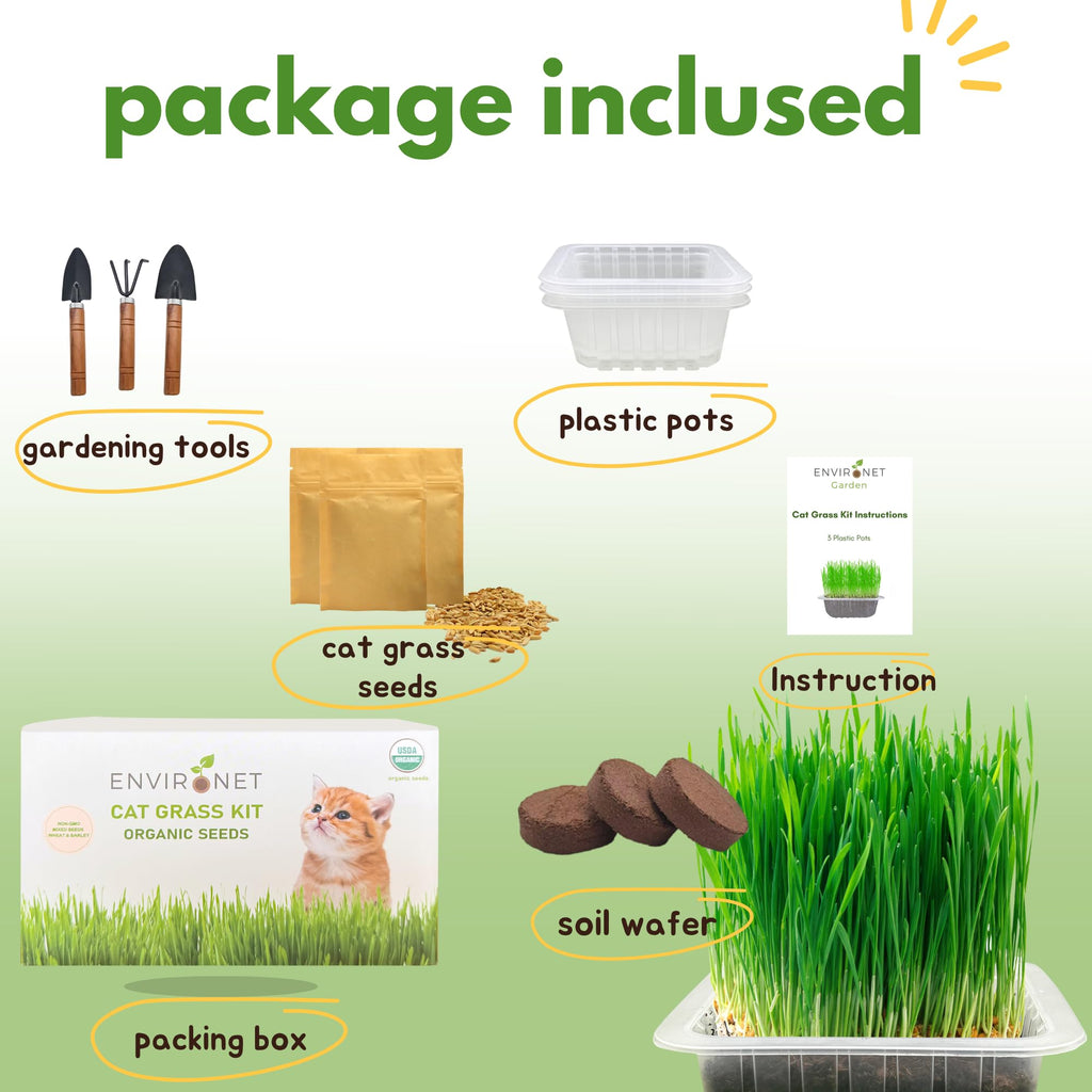 Organic Cat Grass Growing Kit with Seeds Soil and Planting Tools 3-Pack Plastic Pots Y503001