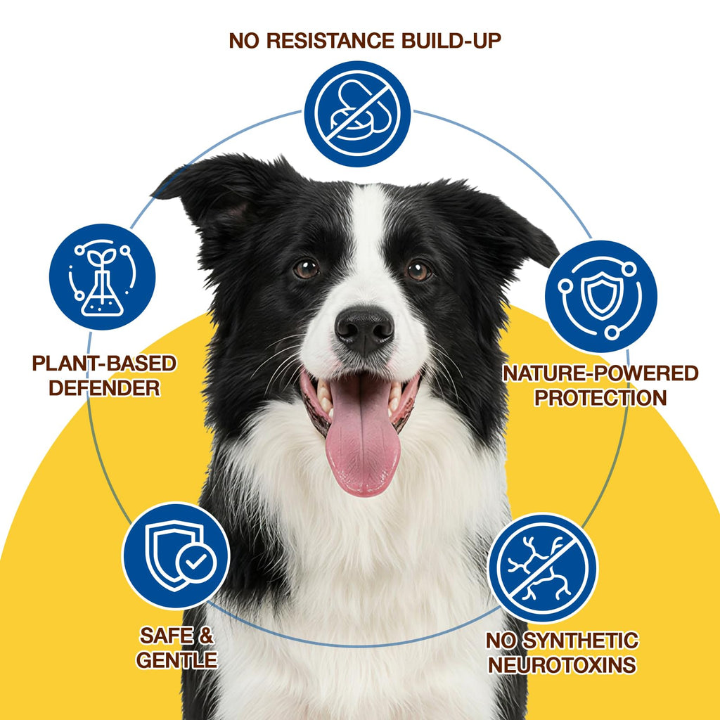 Natural Flea and Tick Chewables for Dogs, 180 Soft Chews E1428