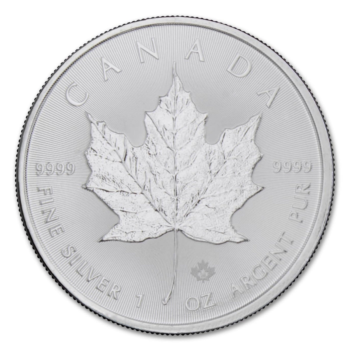 1 oz Canadian Maple Leaf Silver Coins R616790