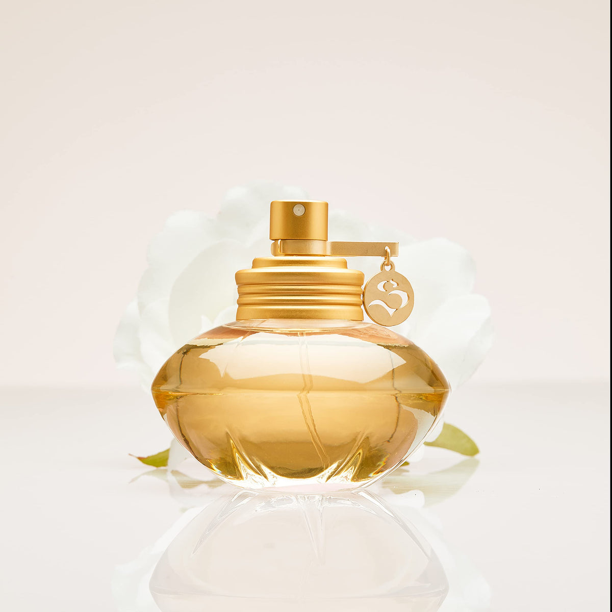 Eau de Toilette X125256