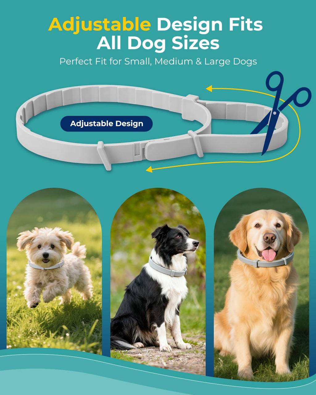 4 Pack Flea and Tick Collar for Small Dogs Under 18 lbs Y70705