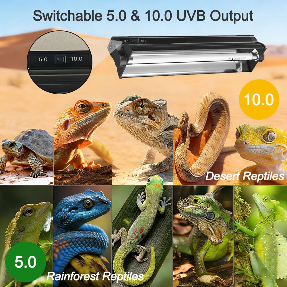 8W 12 Inch Switchable 10.0 & 5.0 UVB Reptile Light Fixture Combo Kit Q9827
