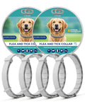4 Pack Flea and Tick Collar for Small Dogs Under 18 lbs Y70705