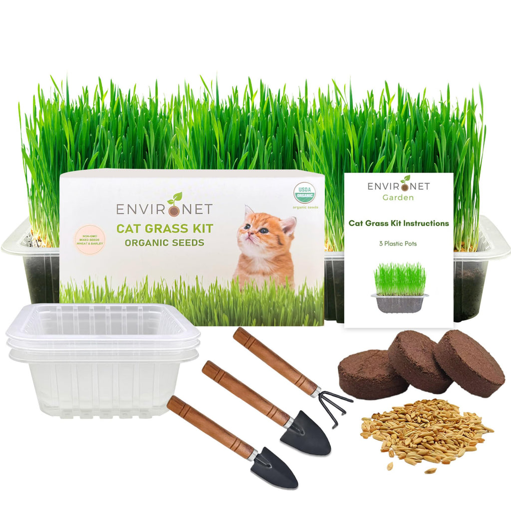 Organic Cat Grass Growing Kit with Seeds Soil and Planting Tools 3-Pack Plastic Pots Y503001