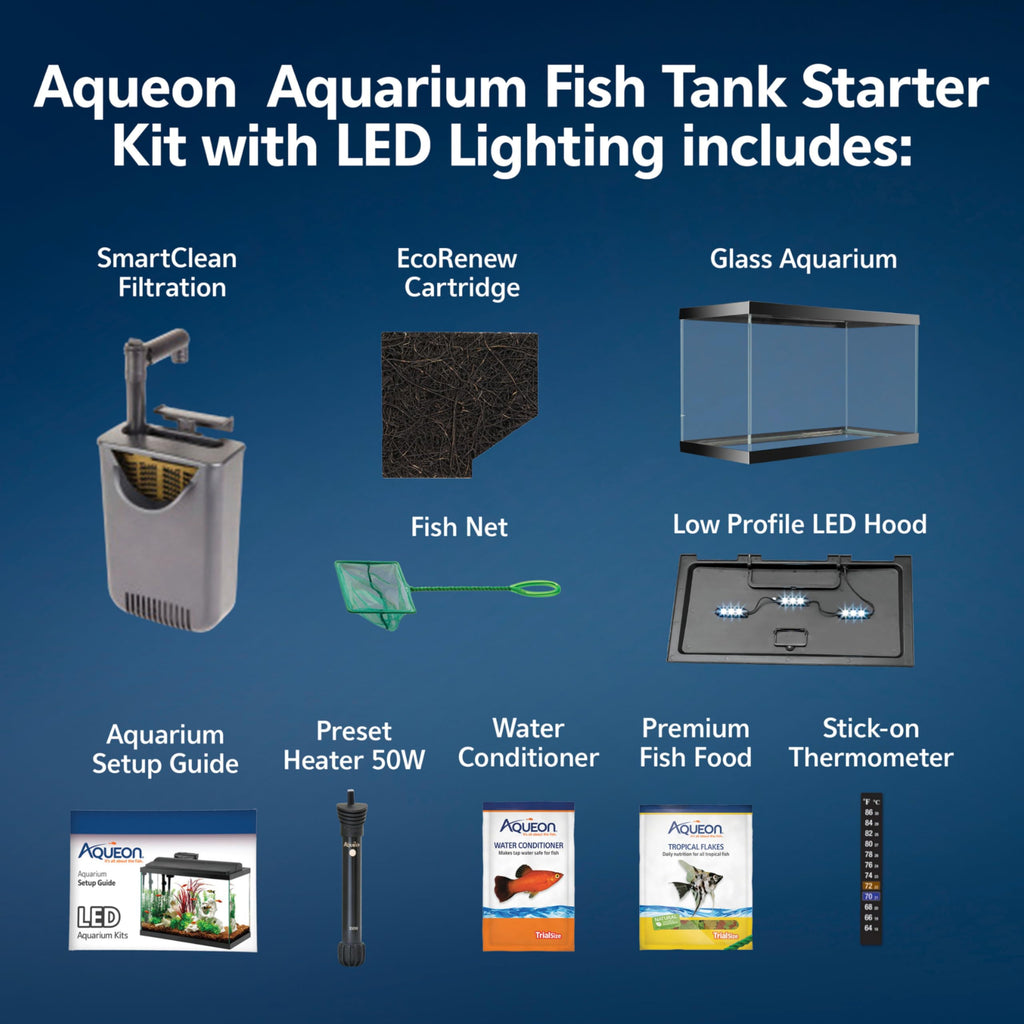10-Gallon Aquarium Starter Kit with Filtration and LED Lighting Q39518