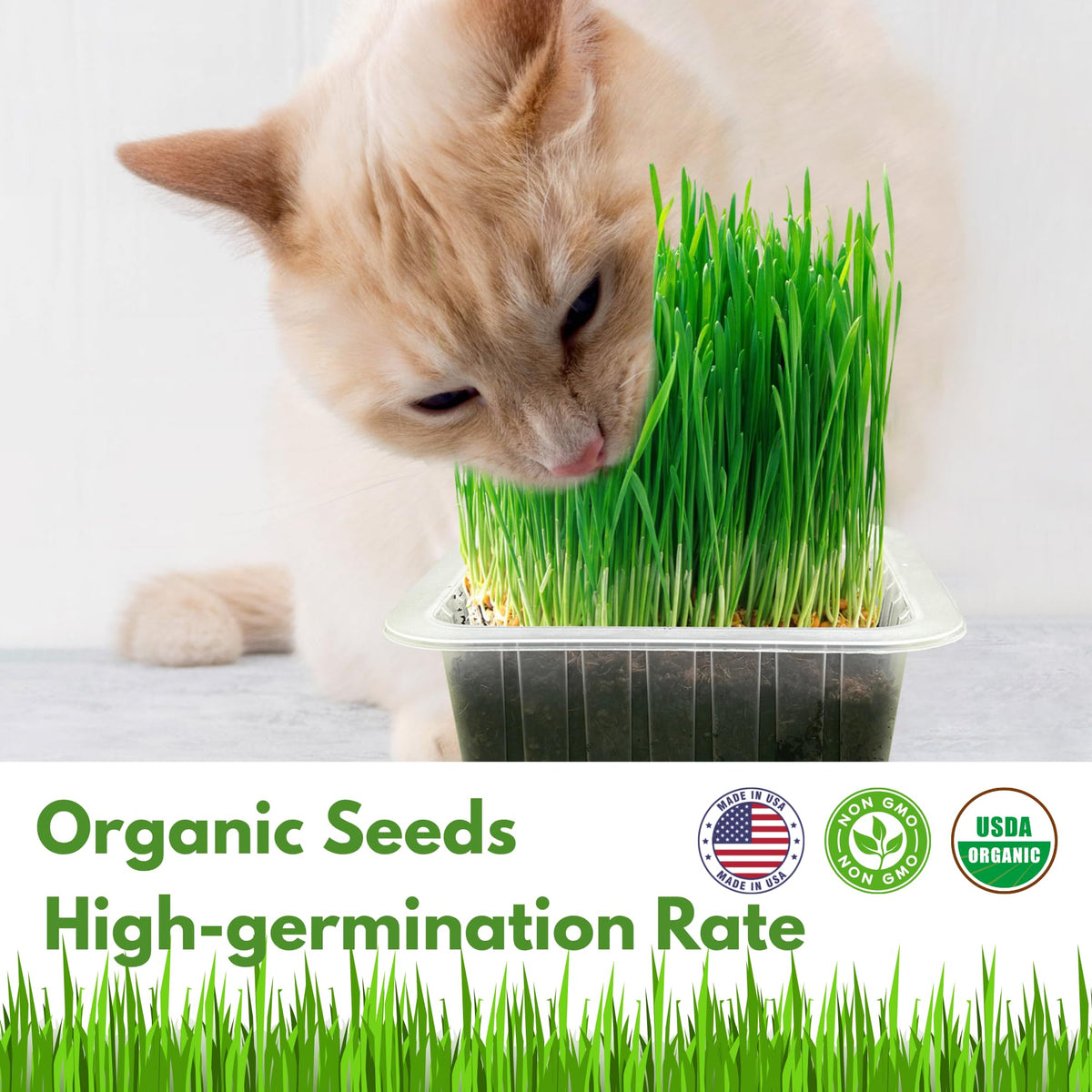 Organic Cat Grass Growing Kit with Seeds Soil and Planting Tools 3-Pack Plastic Pots Y503001