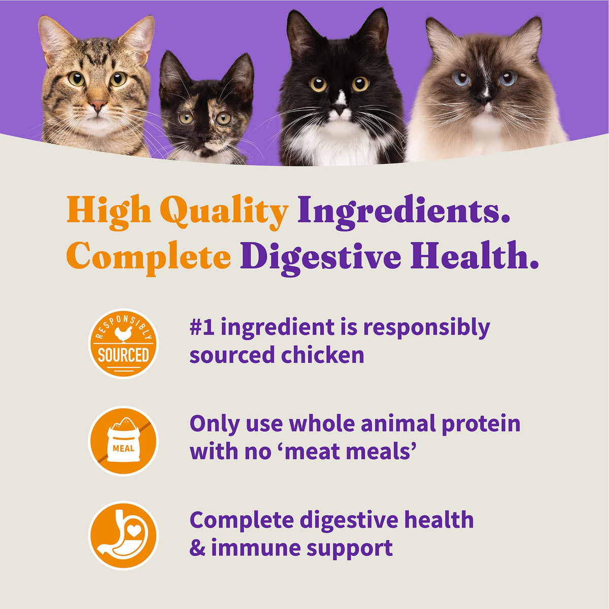 Indoor Dry Cat Food Cage-Free Chicken 6 lb W4488