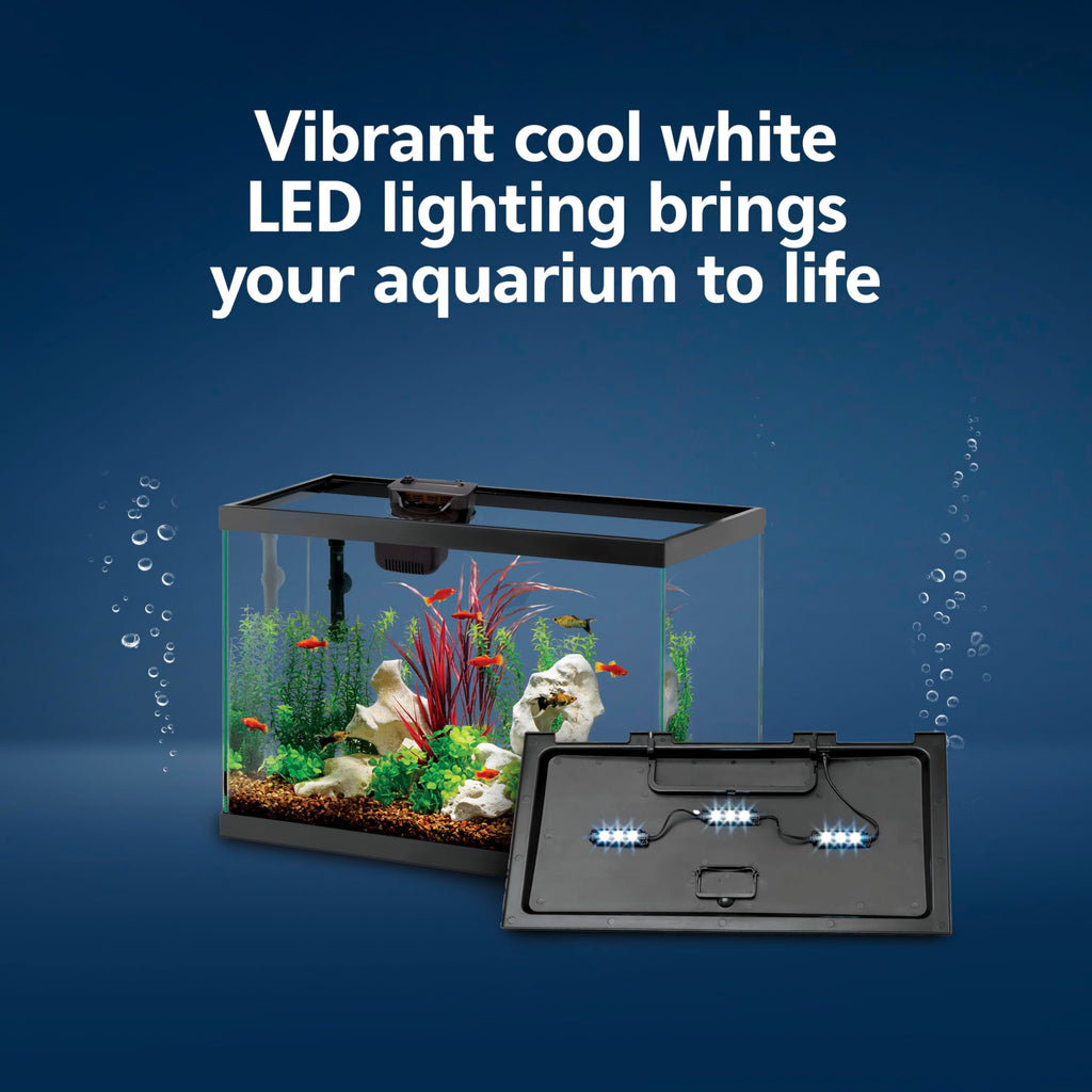 10-Gallon Aquarium Starter Kit with Filtration and LED Lighting Q39518