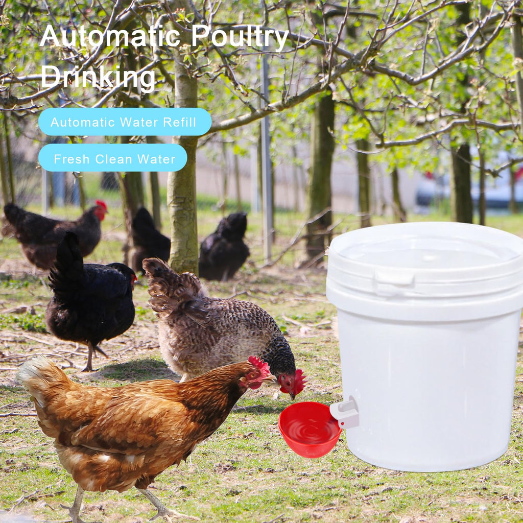 6 Packs Chicken Waterer Cups with Mounting Hole Opener Y596038