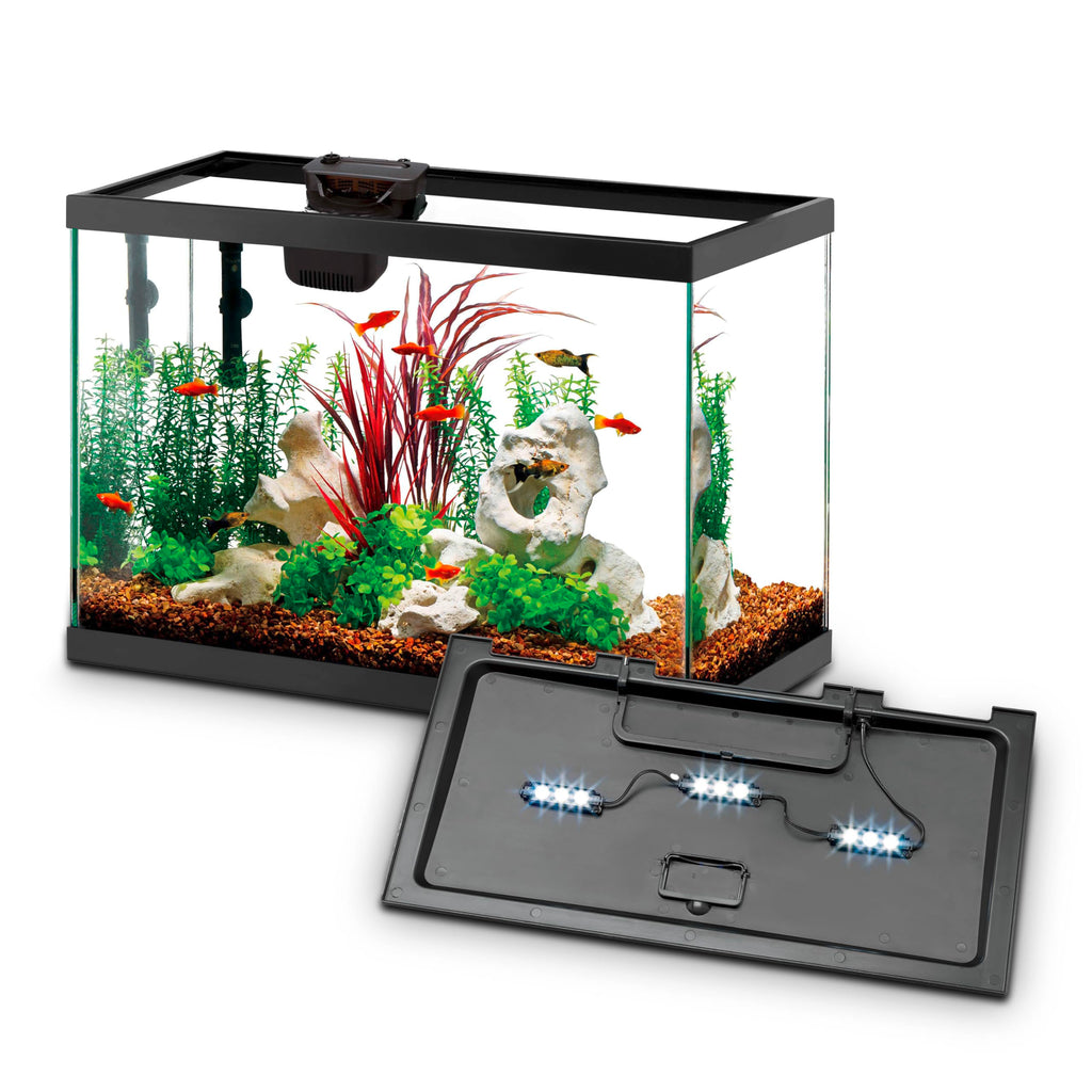 10-Gallon Aquarium Starter Kit with Filtration and LED Lighting Q39518