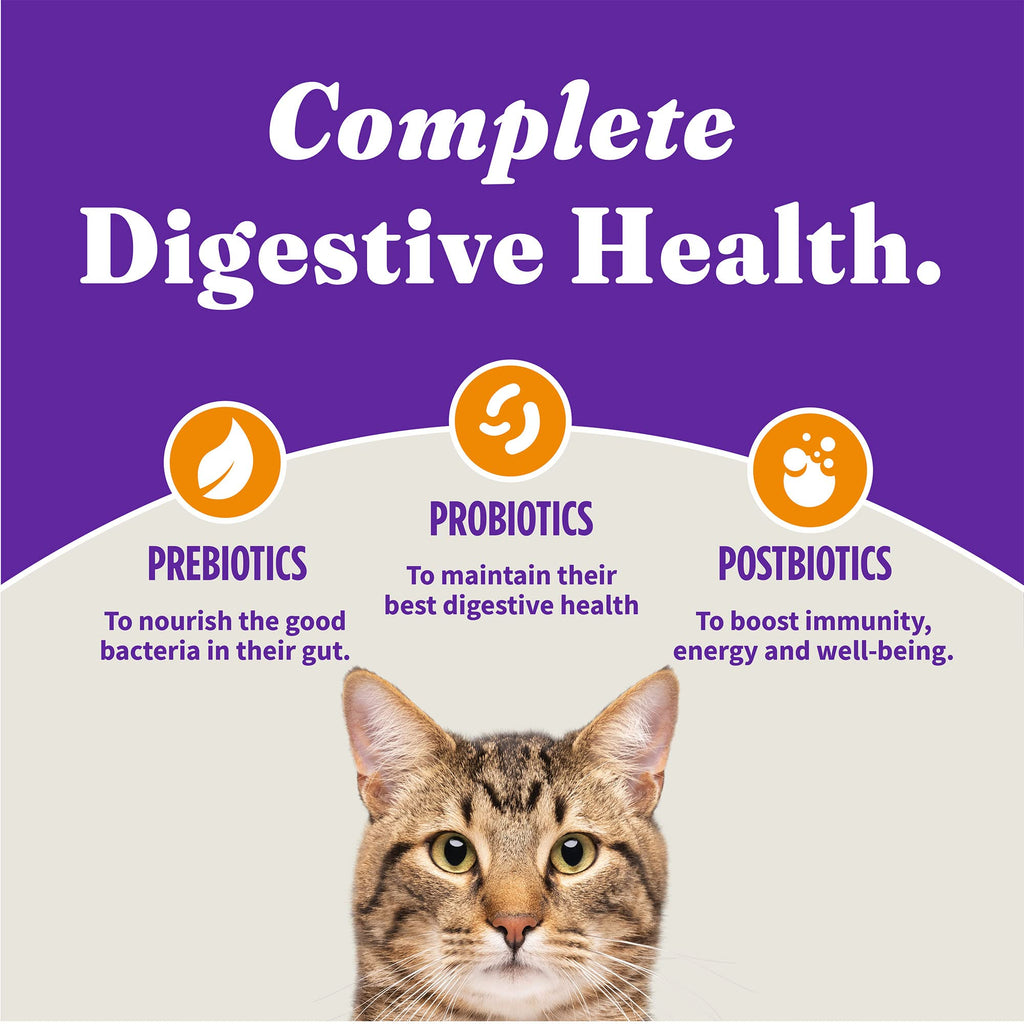 Indoor Dry Cat Food Cage-Free Chicken 6 lb W4488