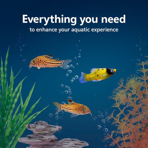 10-Gallon Aquarium Starter Kit with Filtration and LED Lighting Q39518