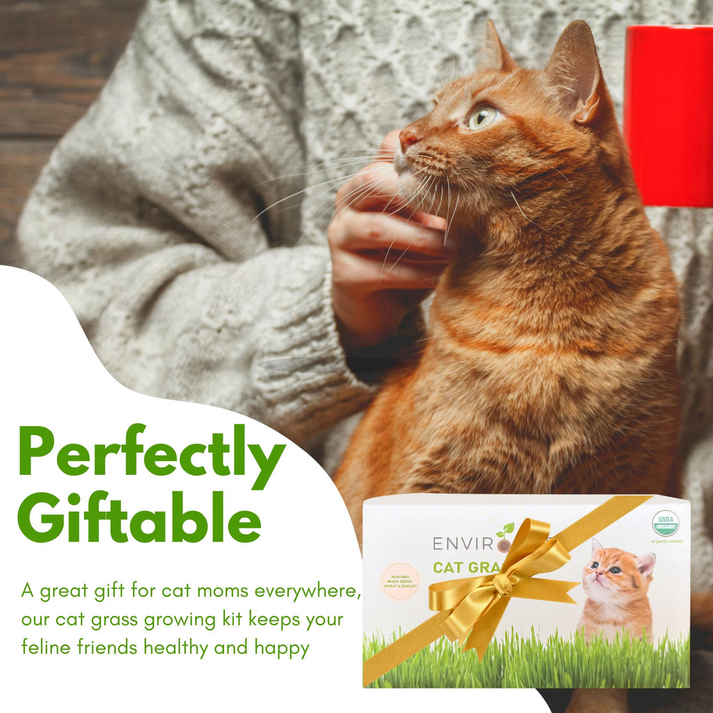 Organic Cat Grass Growing Kit with Seeds Soil and Planting Tools 3-Pack Plastic Pots Y503001