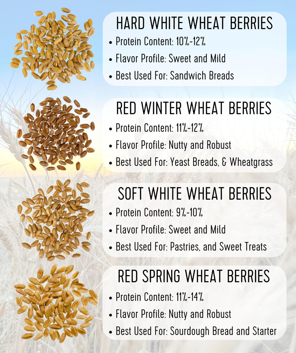 Hard White Wheat Berries 25 lbs V158243