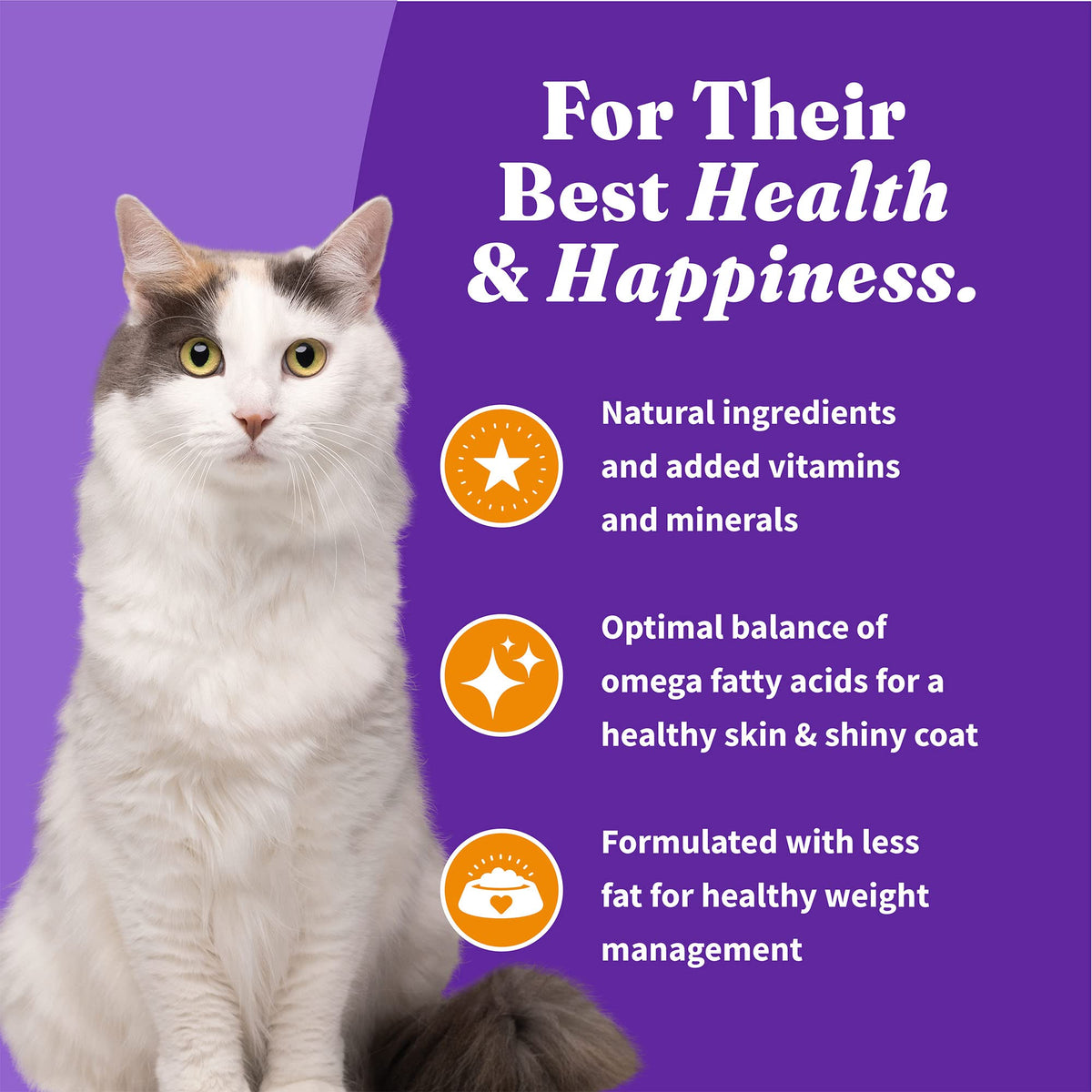 Indoor Dry Cat Food Cage-Free Chicken 6 lb W4488