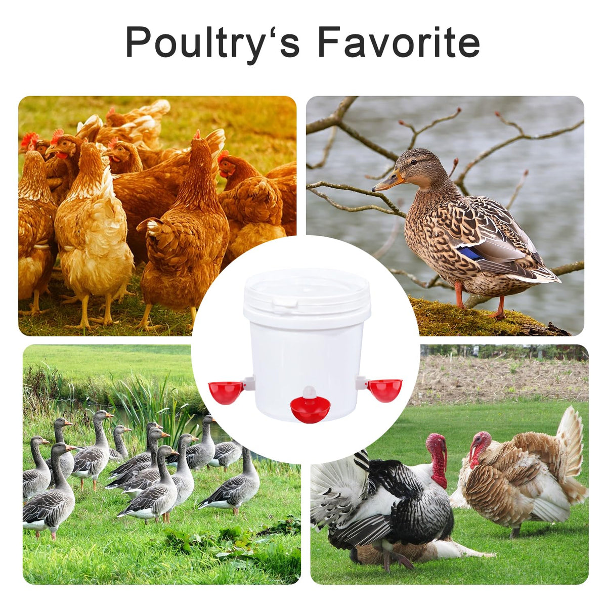 6 Packs Chicken Waterer Cups with Mounting Hole Opener Y596038