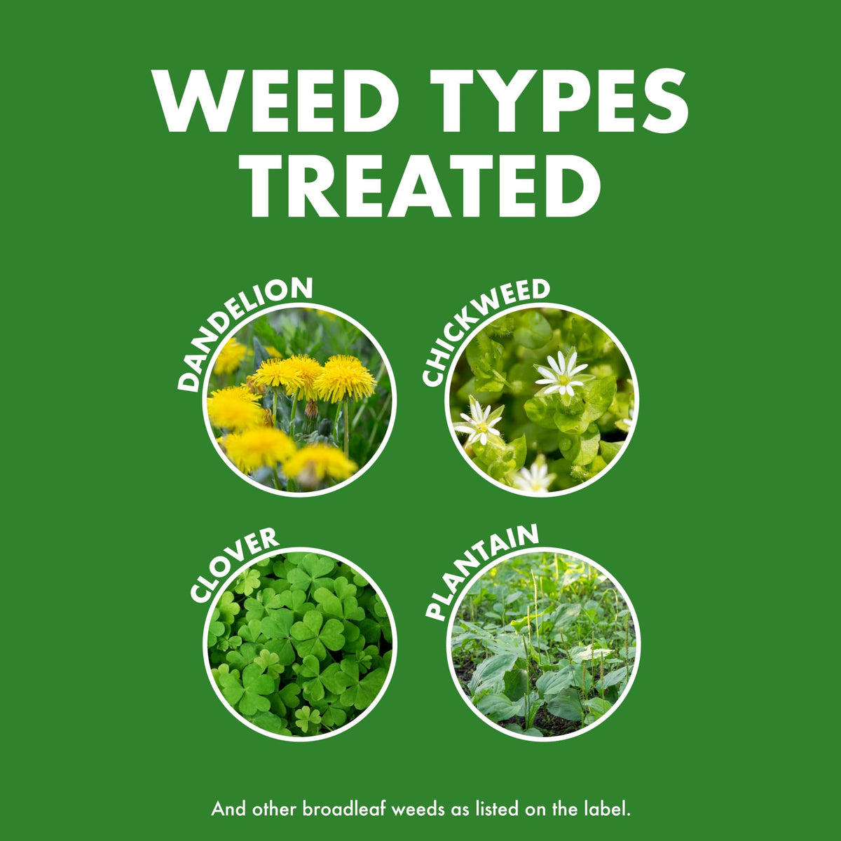 Weed & Feed 32 Oz 3 Pack M823