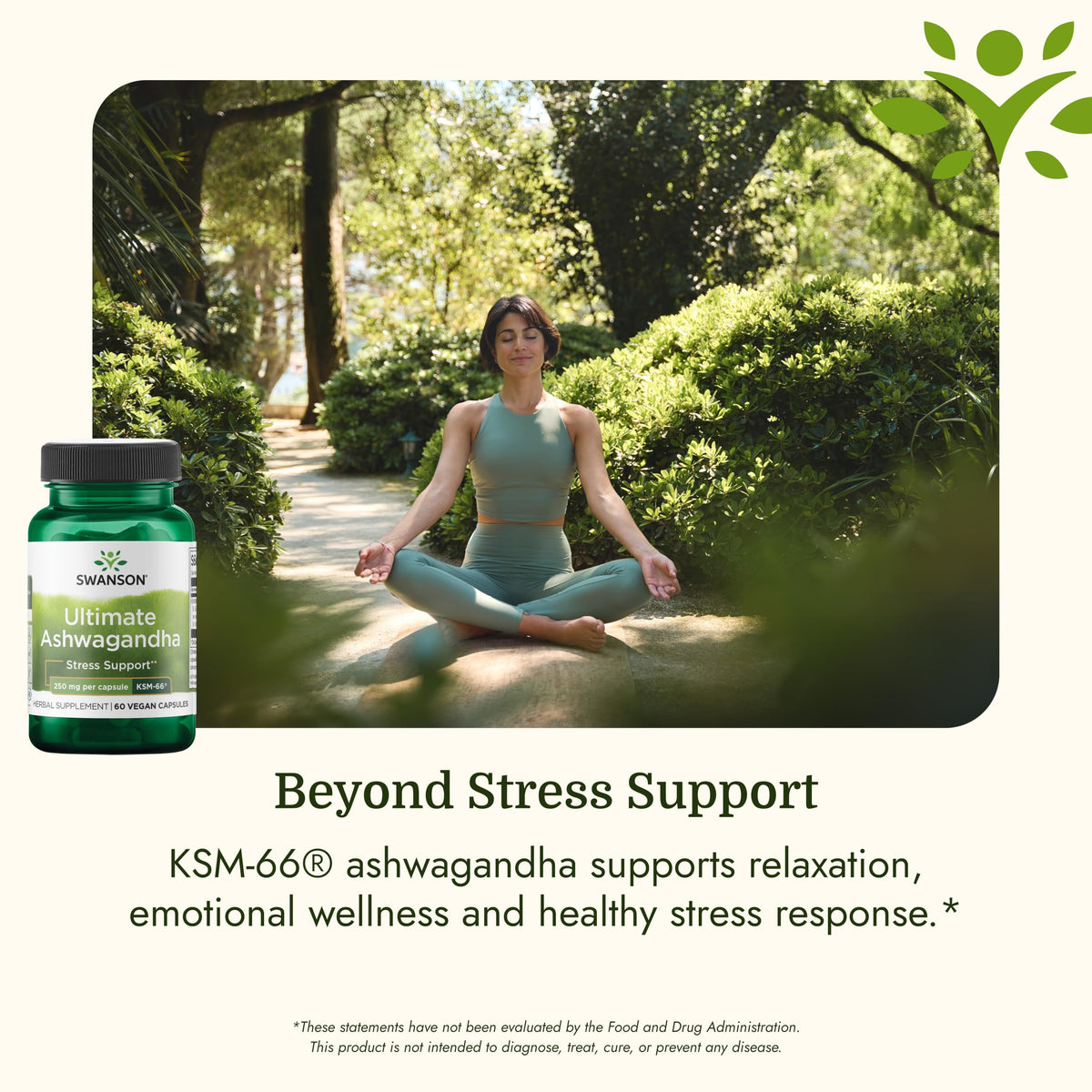 Ashwagandha 250 mg 60 Veggie Capsules H723