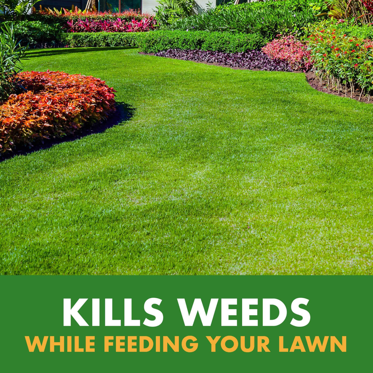 Weed & Feed 32 Oz 3 Pack M823